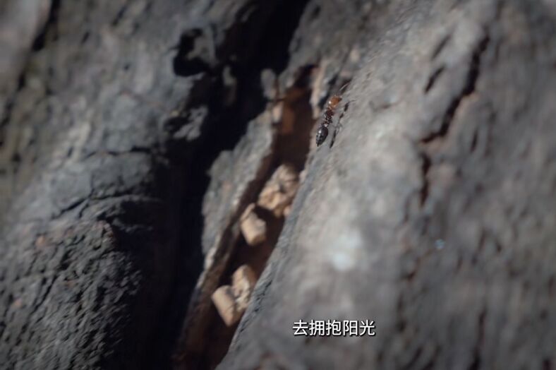 888(1)_看图王.jpg